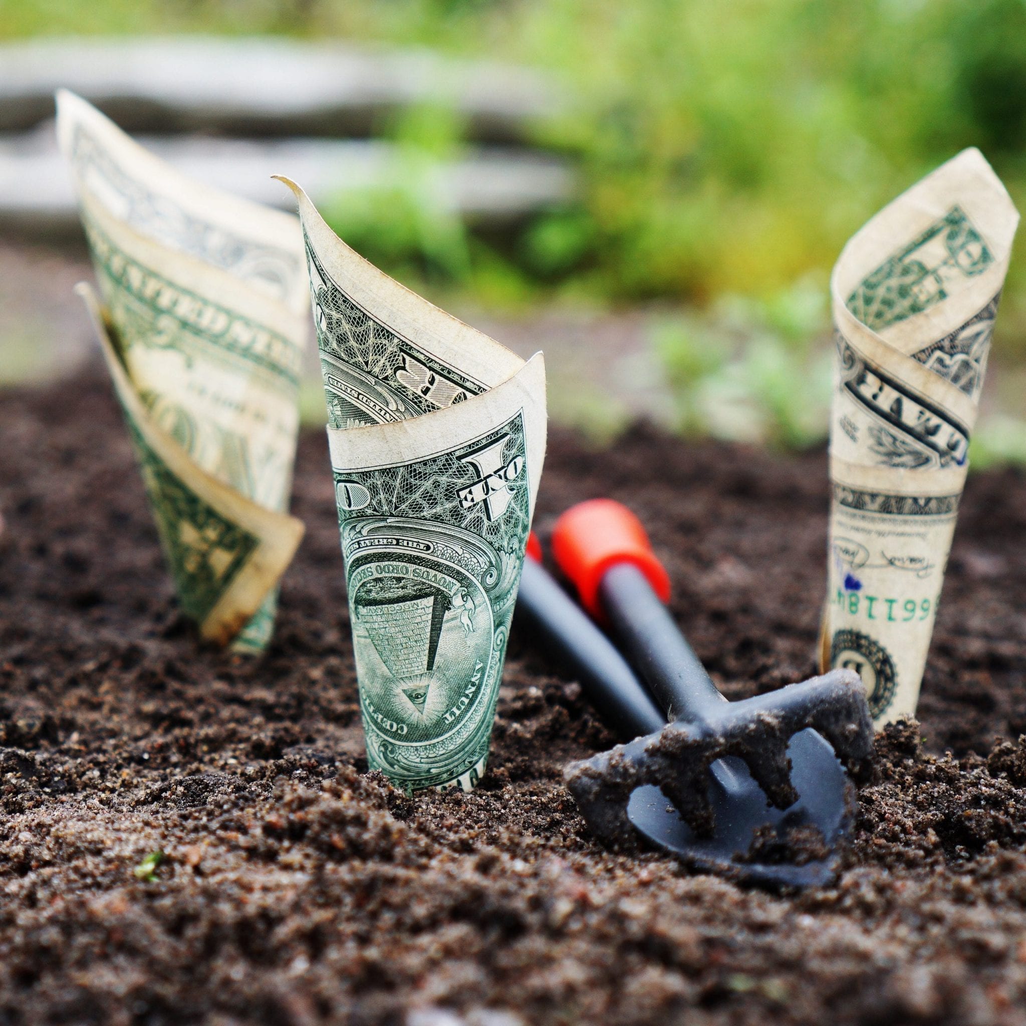 Save money on legal fees