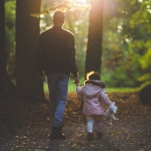 5 Types of Custody Counseling: family counseling 