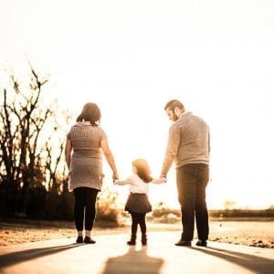 5 Types of Custody Counseling: family counseling 