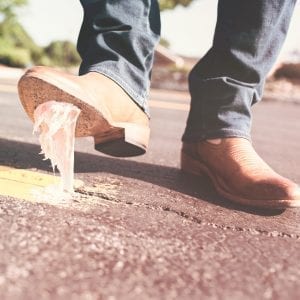 Don't chew gum in the courthouse. Tips for your first family court hearing by the Divorce Lawyer Life