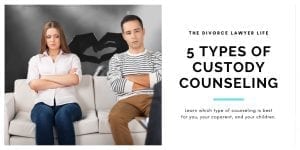 5 Types of Custody Counseling: Which type of counseling is best for you, your coparent and your children? 