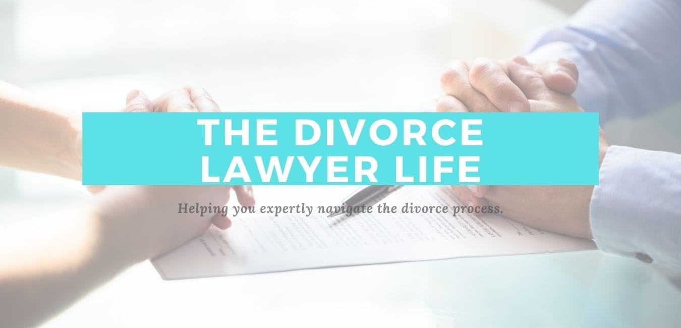 The Divorce Lawyer Life
